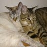 はる profil fotoğrafı