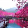ً profil fotoğrafı