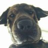 Profilbild von Jerry