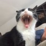 Monsieur M👀 profil fotoğrafı