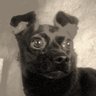 Profilbild von Sony McGraw