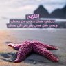 أم أحمد's profile picture