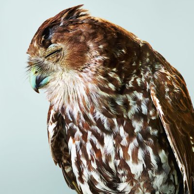 David Plotz's profile picture