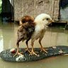 Mtenget Mghanga's profile picture