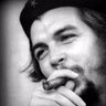 Paddy Popodopolus's profile picture