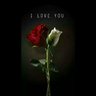 ( النخبوي )'s profile picture
