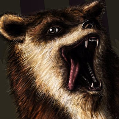 BeardBaer's profile picture