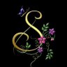 Stephanie S.'s profile picture