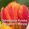 Polska z Bogiem i Maryją's profile picture