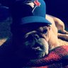 jekahyde's profile picture