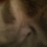 ROLLO's profile picture