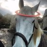 Rufy Cruising's profile picture