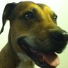 M. Winterdale's profile picture