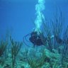 Фото профиля Scuba diving