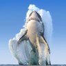سبحان الله وبحمده's profile picture