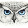 Фото профиля BlueEyedJurist