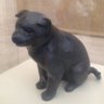 旅わんこ 的头像