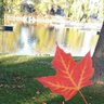 Montreal Boy profil fotoğrafı