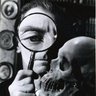 密林亭半魚人's profile picture
