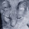 montymiff: profil fotoğrafı