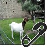美和りら profil fotoğrafı