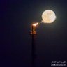 Eng. Fatima Al Shamsi's profile picture