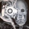 Profilbild von Большой Zoom