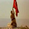 T.C. FİKRET TEKİN's profile picture