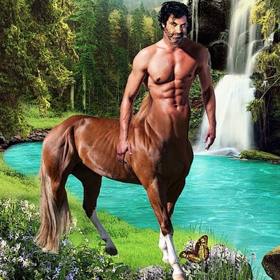 Kenny Hotz's profile picture