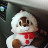 Profilbild von かれーの素