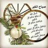 Profilbild von د مصباح البر