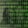 Crypto Xpose's profile picture
