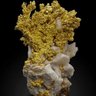 Фото профиля Mr Moh