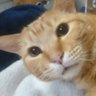 りゅーせー 的头像