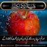 Allah nawaz maneka's profile picture