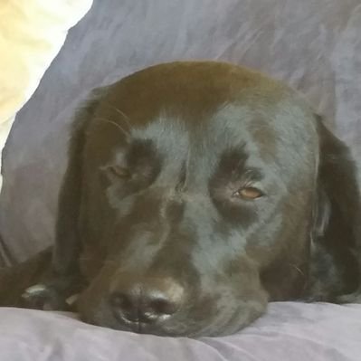 stuewe33's profile picture
