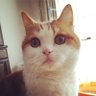 いっち profil fotoğrafı