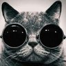 Dissident_Punk's profile picture