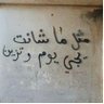 فالك طيب 的头像
