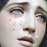 lena's profile picture