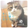 叶音(かのん) profil fotoğrafı