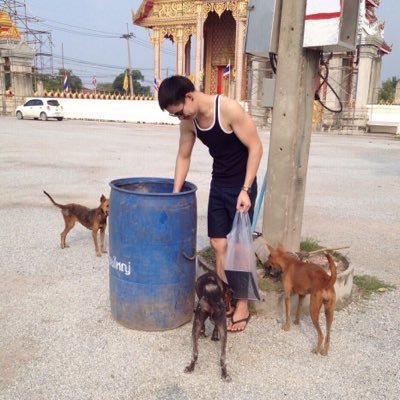 idragonbig's profile picture