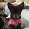 Ellie's profile picture