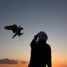 mansour profil fotoğrafı