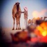 وضاح المقاطي profil fotoğrafı