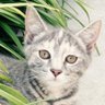 Profilbild von SherriSSseeley