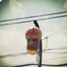 りょー。's profile picture
