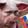 Украина выстоит и нагнет... profil fotoğrafı