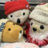 がむばるベアーズ🐻🦊🐼🌹🐴🥖🎣👩🌱🚤🚴♂️⛩☘️✨🍑🍢🐰🌐🐵🐰⛑ 的头像