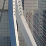 Peter te Rotterdam 的头像